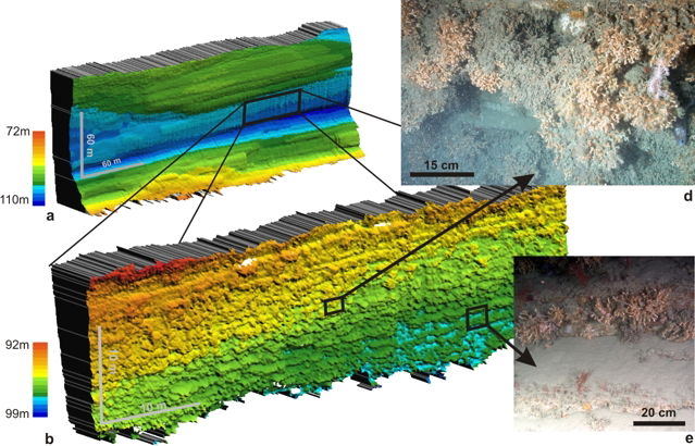 Example of sideways multibeam mapping: morphology of a coral-covered, overhanging cliff in Whittard Canyon, mapped with a SM2000 multibeam placed on the front of the ROV ISIS (left). Top: (a) data collected at 30m distance, 50cm pixel size; (b) data collected at 7m distance, 10cm pixel. No vertical exaggeration.