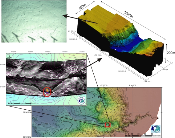 Nested surveys: datasets with increasingly higher resolution, but therefore reduced spatial coverage, are providing additional detail to support the interpretation of seabed habitats. Finding the quantitative link between those scales is the challenge. (Photography, ROV-based bathymetry, TOBI sidescan sonar and ship-borne bathymetry.)