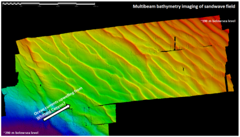Multibeam image off the sandwaves that we have found